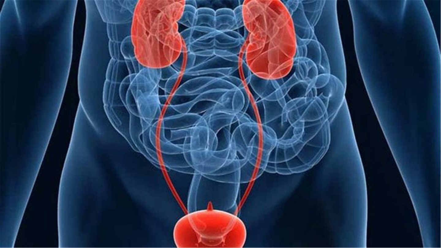 Факторы риска онкологии мочеполовой системы