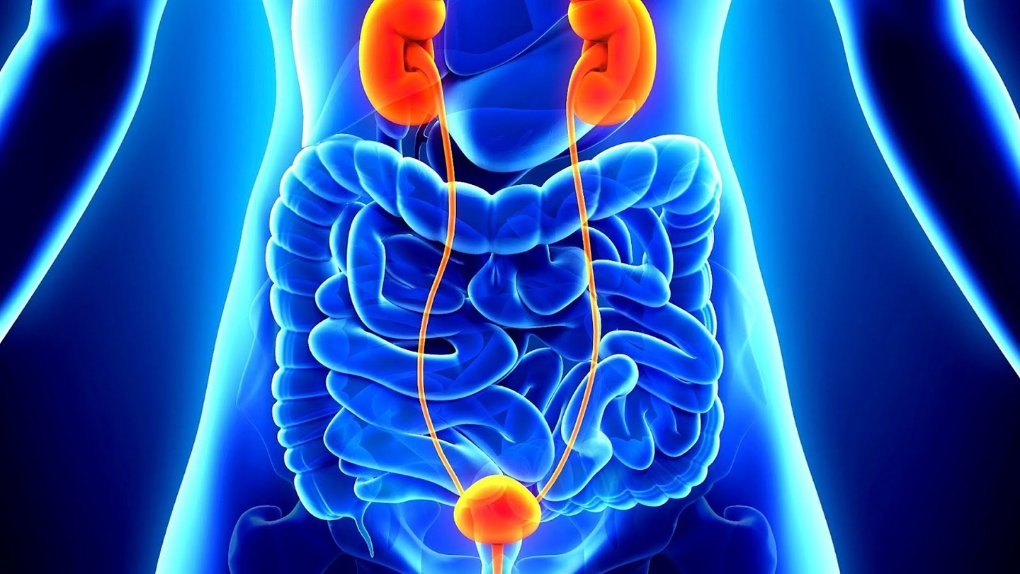 Лечение рака органов мочеполовой системы (лечение онкоурологии)