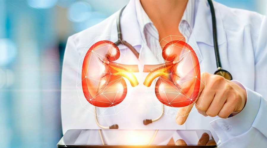 Лапароскопическая резекция почки